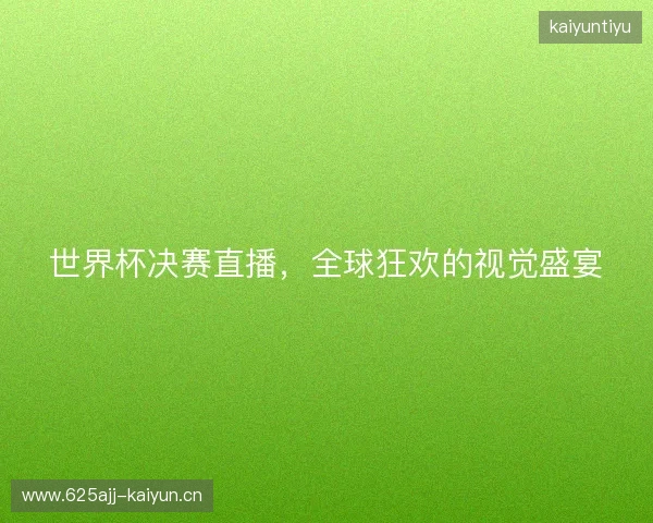 世界杯决赛直播，全球狂欢的视觉盛宴